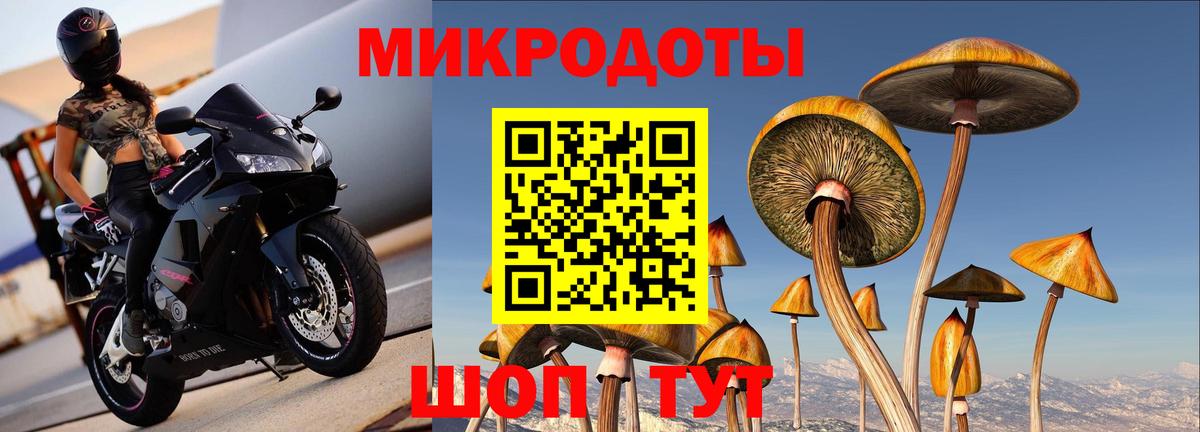 Галлюциногенные грибы мицелий  Вход с VPN  Псилоцибиновые грибы Psilocybine cubensis  Гурьевск 